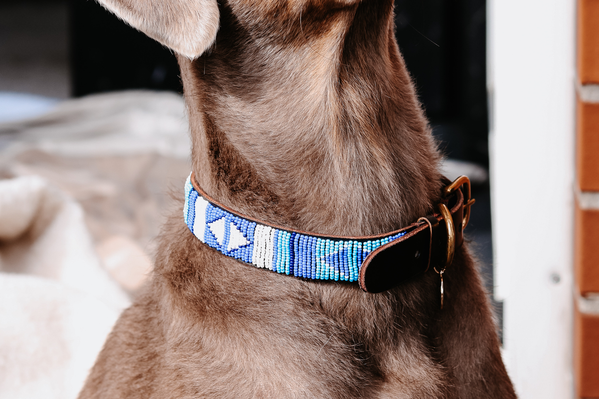 Beaded Collar | Blue Ocean