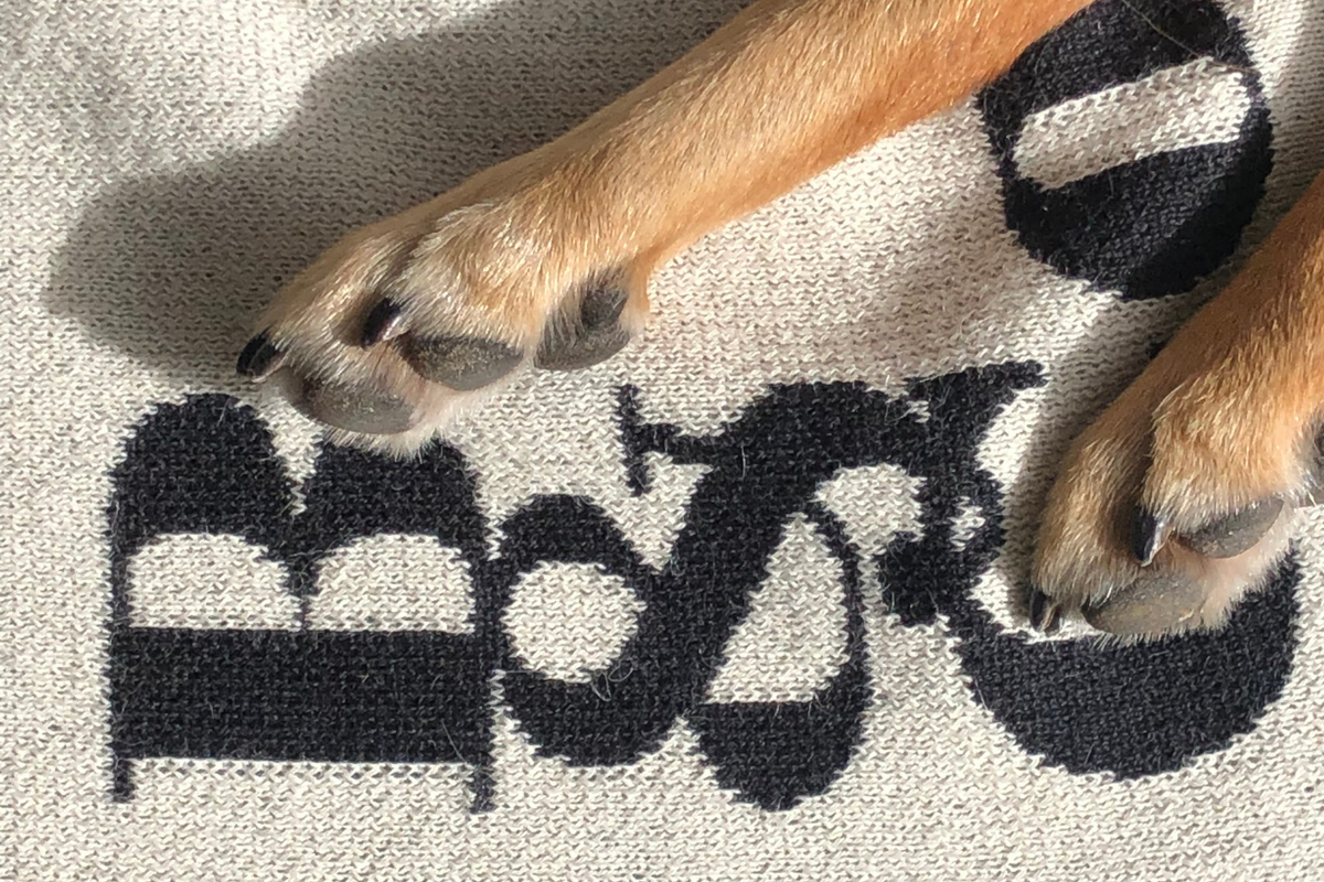 Alpaca Blanket in Black & Cream
