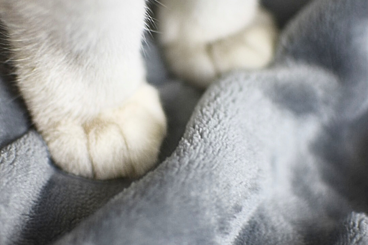 Soft Fleece Blanket in Light Grey