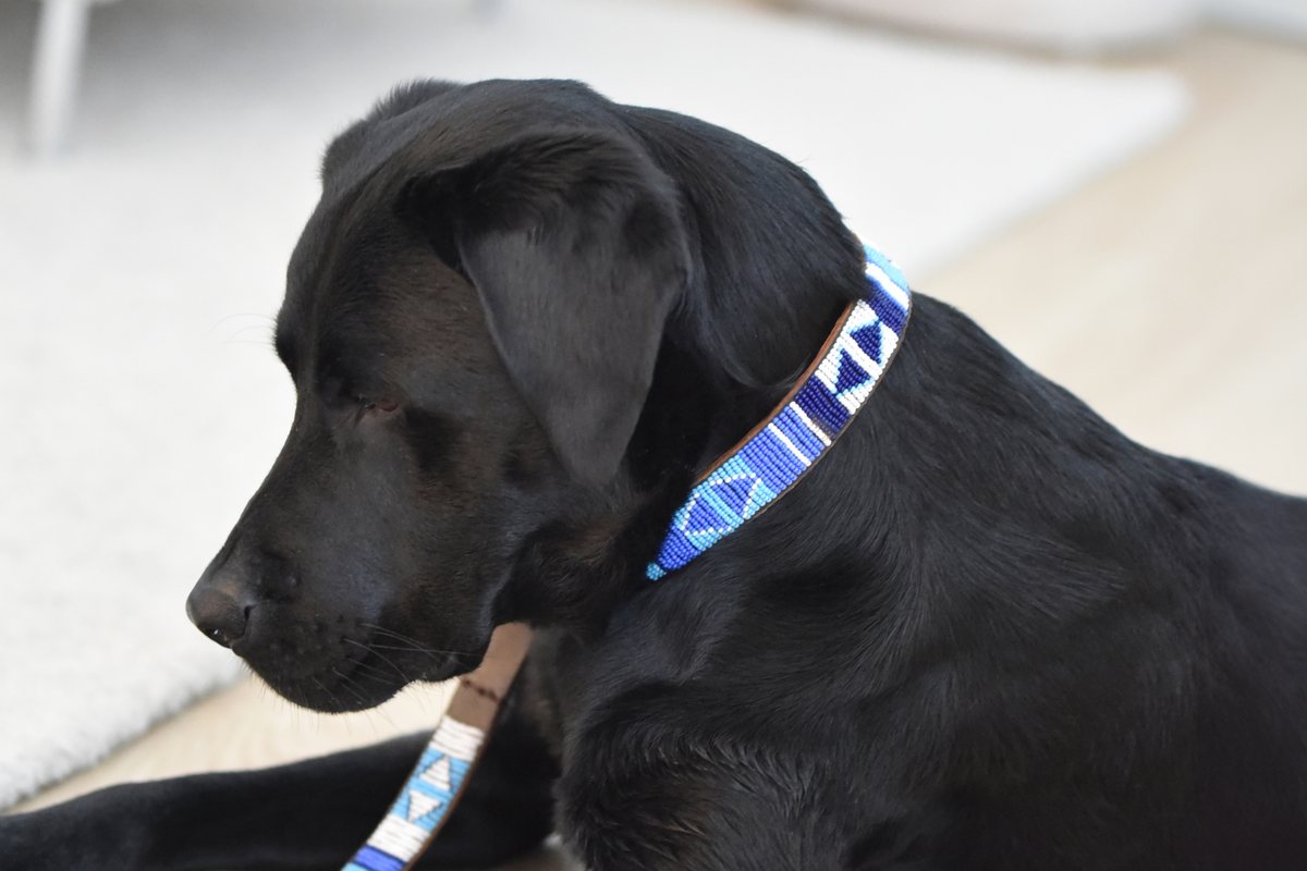 Beaded Collar | Blue Ocean