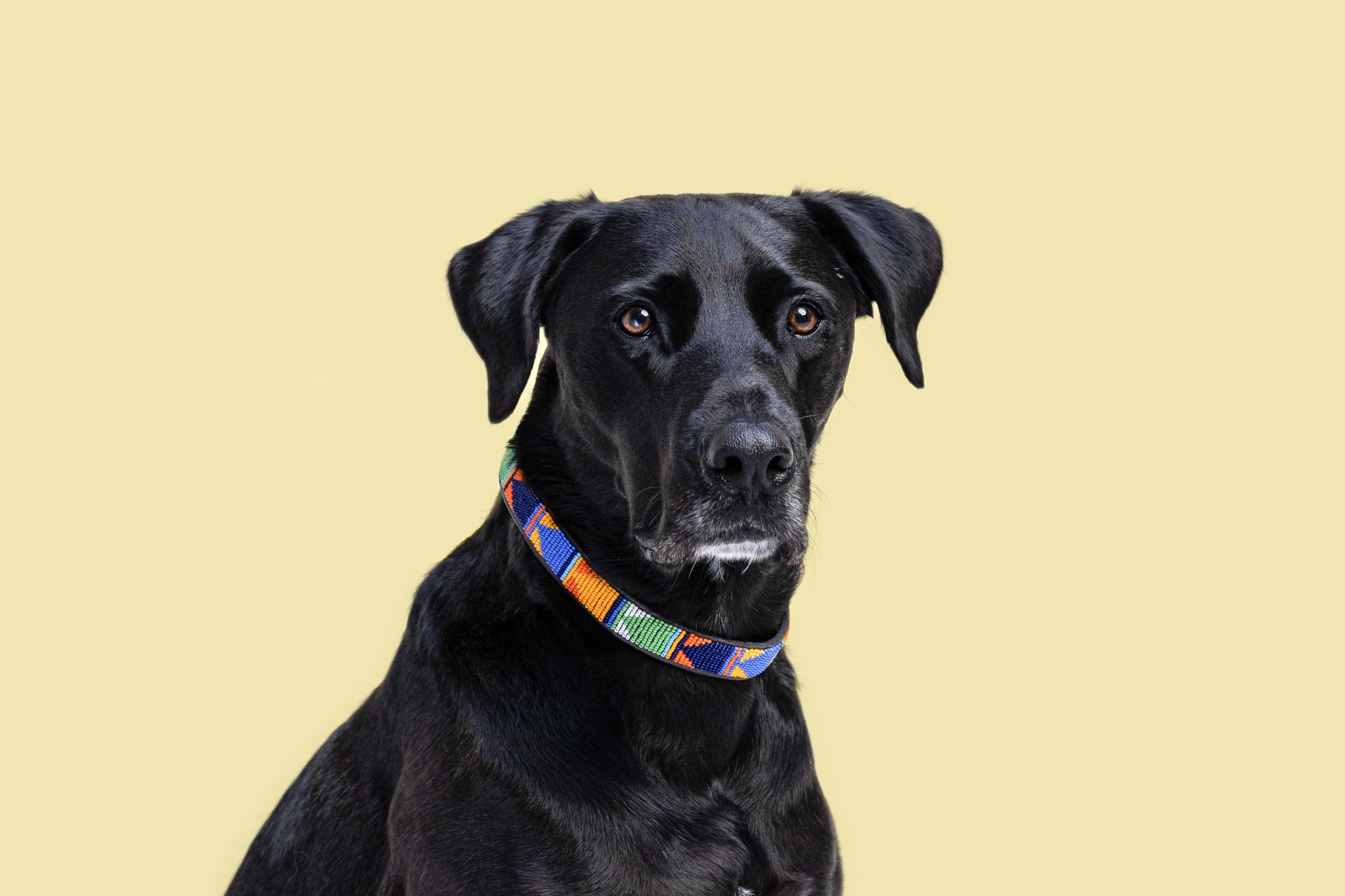 Beaded Collar | Sun & Sky