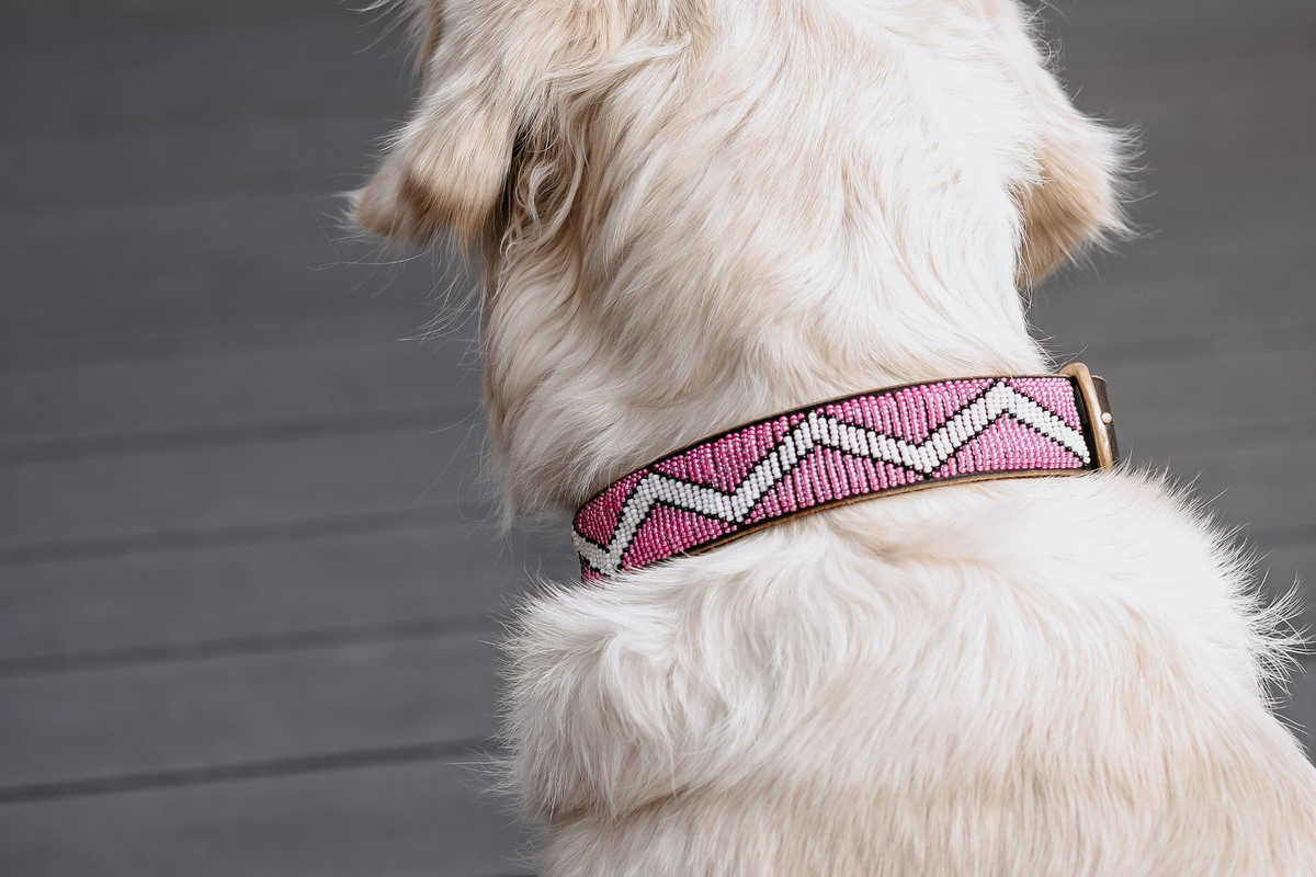 Beaded Collar | Motherland