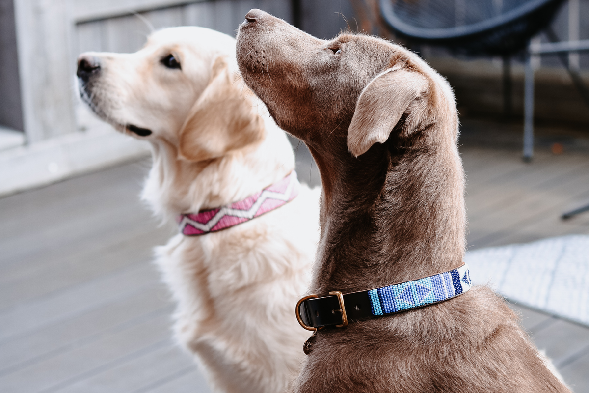 Beaded Collar | Blue Ocean