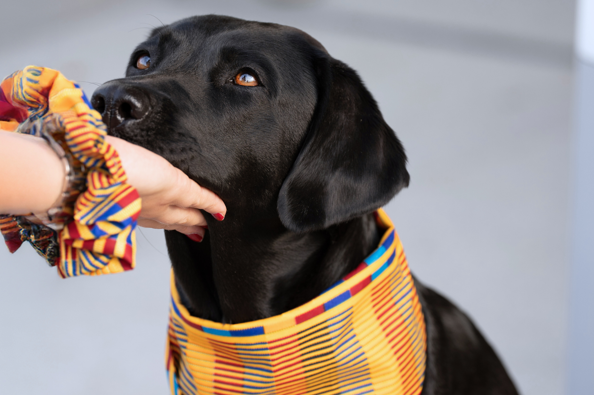 Bandana & Scrunchie Set in African Sun