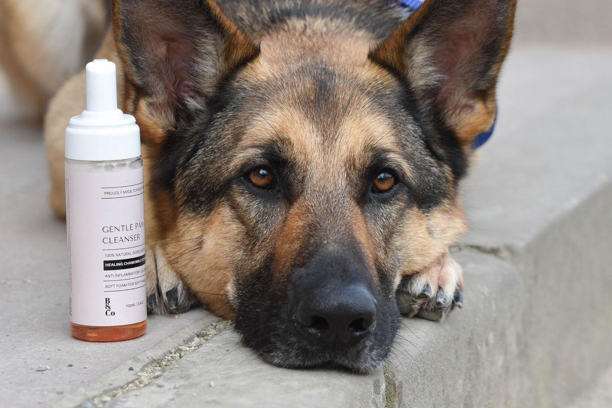 Rinse-free Pawpad Cleanser