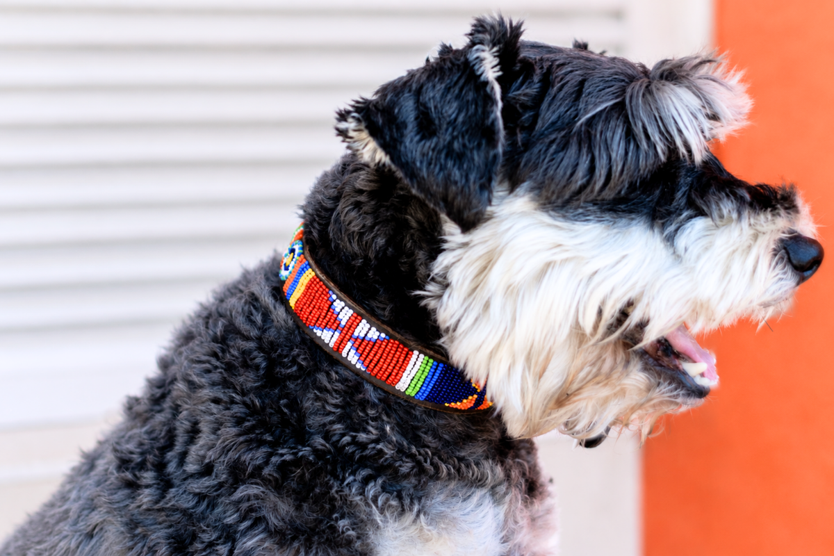 Beaded Collar | Mountains & Rivers